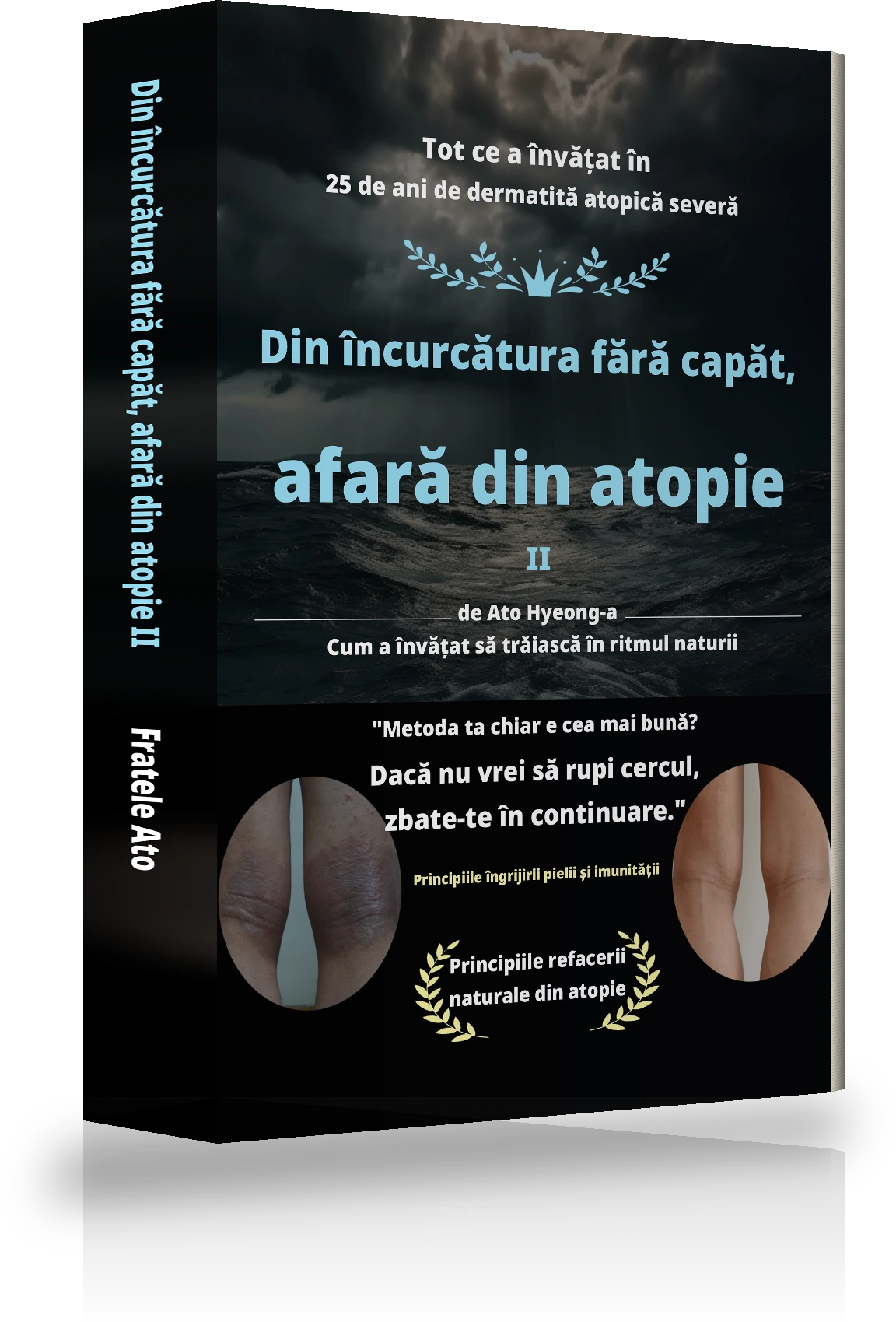Coperta „Din confuzia fără sfârșit până la eliberarea de atopie Ⅱ”