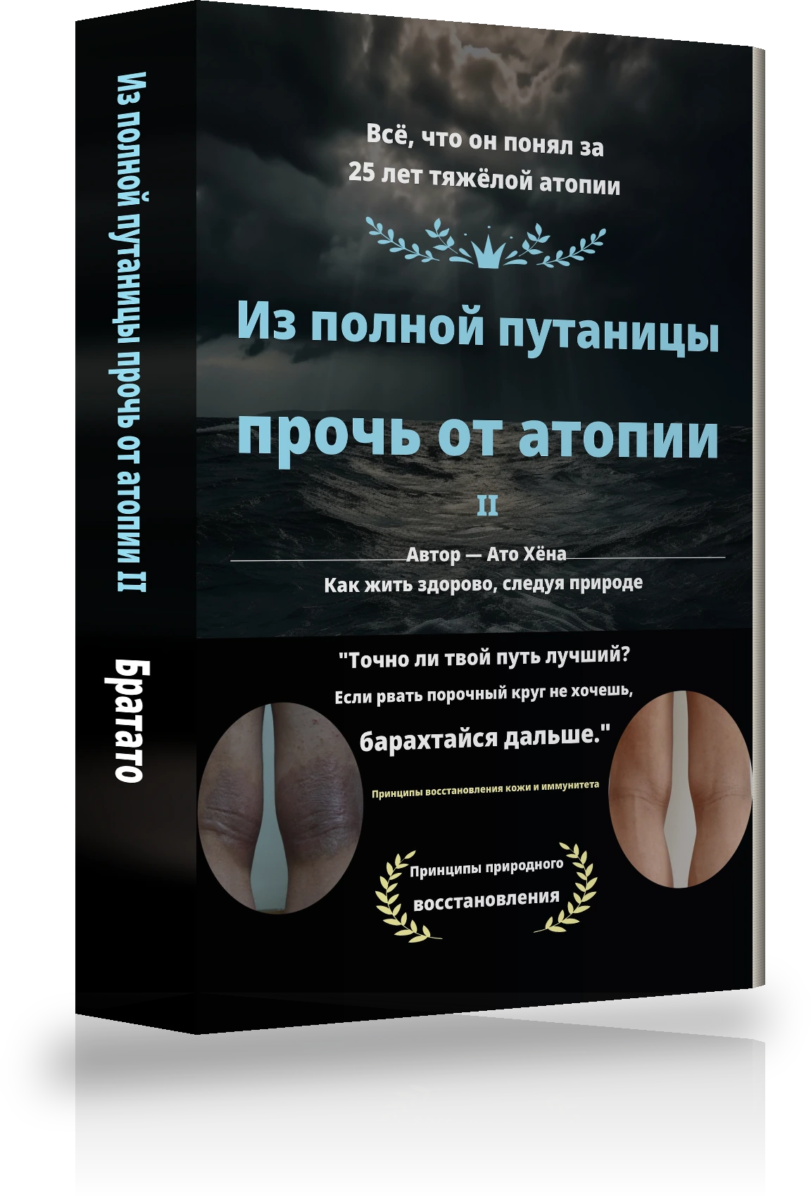 Обложка «От бесконечного смятения до избавления от атопии Ⅱ»