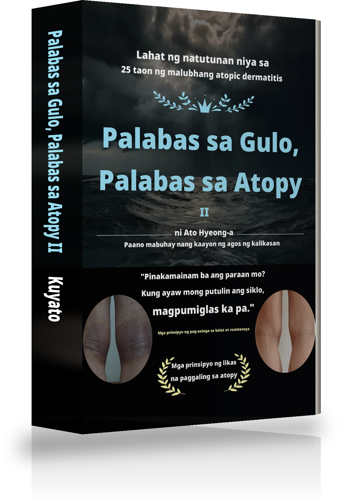 Cover ng Paglaya mula sa Atopic Dermatitis Mula sa Walang-Hanggang Kaguluhan Ⅱ