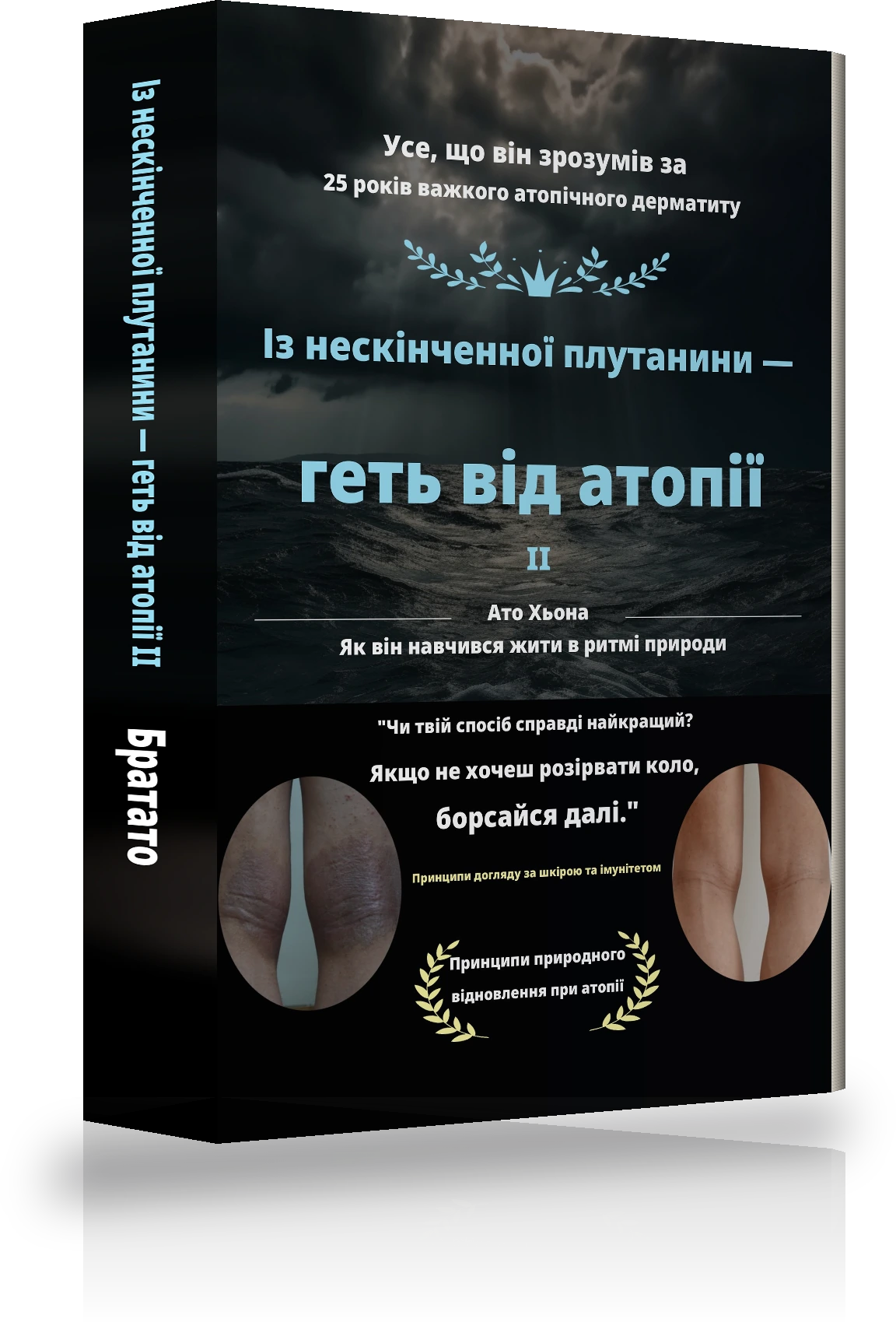 Обкладинка «З нескінченного сум’яття до звільнення від атопії Ⅱ»