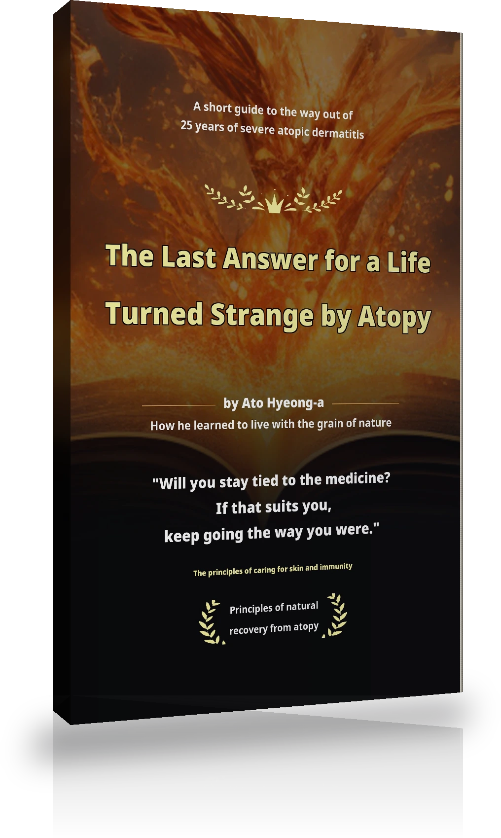 The Seed of Recovery Booklet