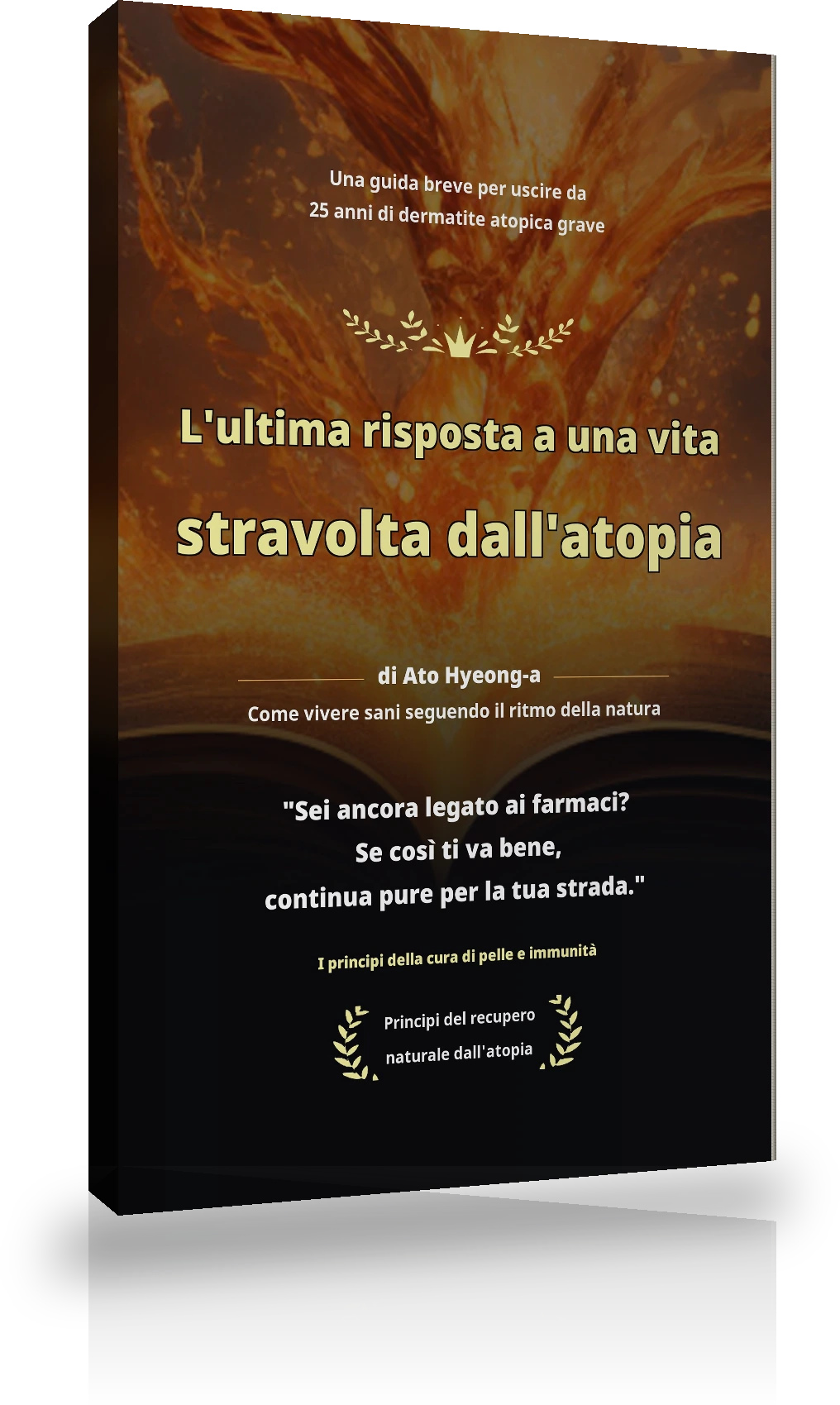 Libretto Il seme della guarigione