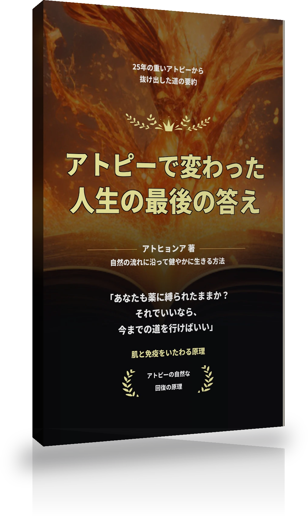 回復の種 小冊子