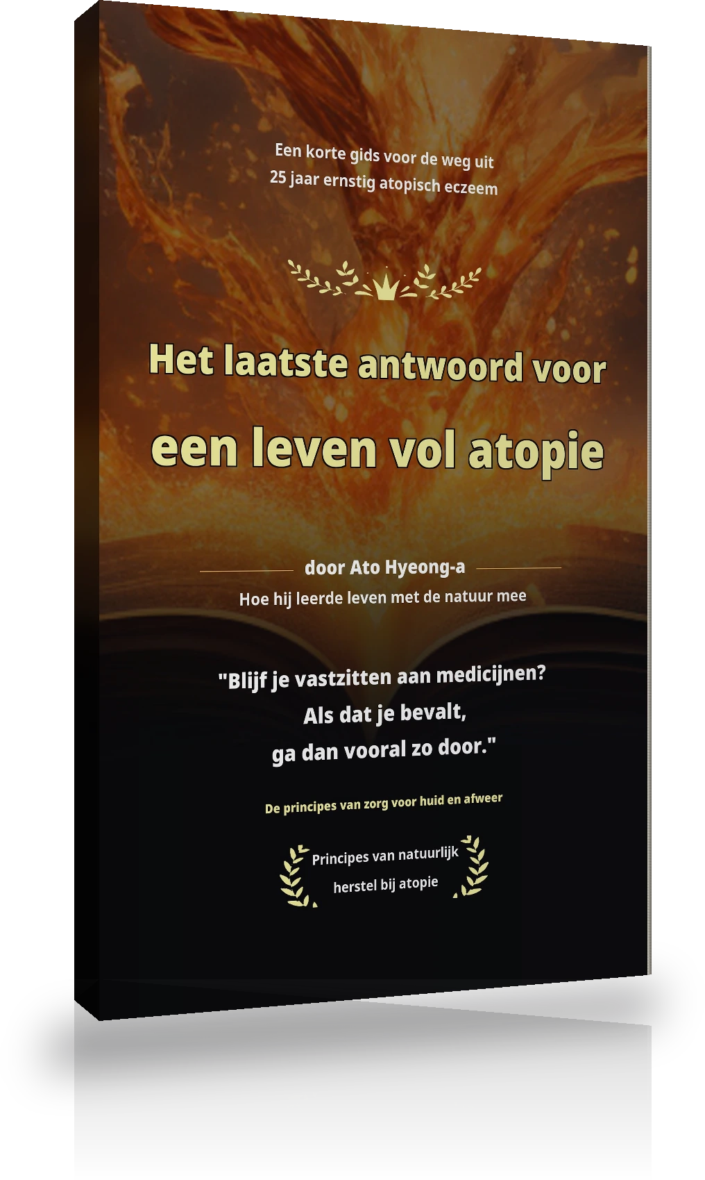 Boekje Het Zaad van Herstel