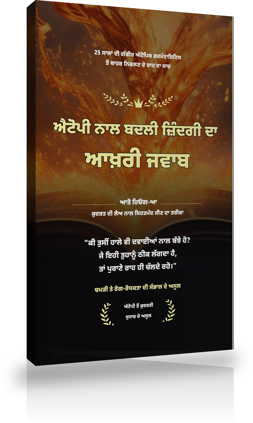 ਸ਼ੁਰੂਆਤੀ ਪੈਕੇਜ