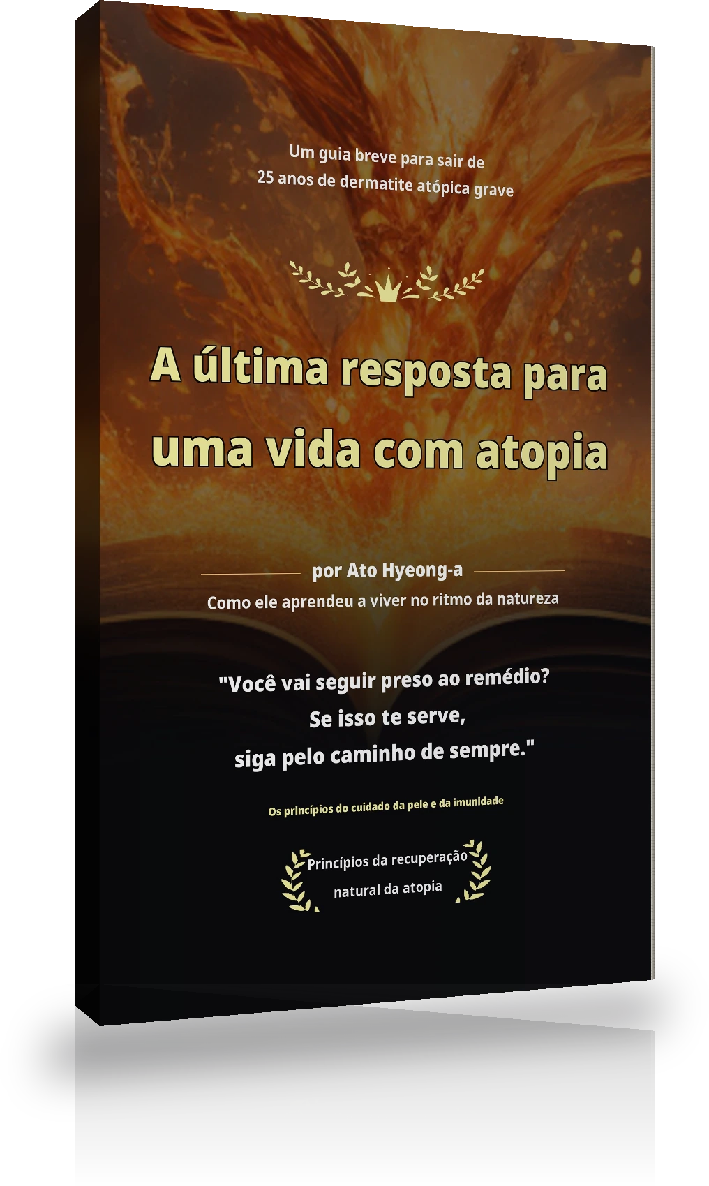 Caderno A Semente da Recuperação