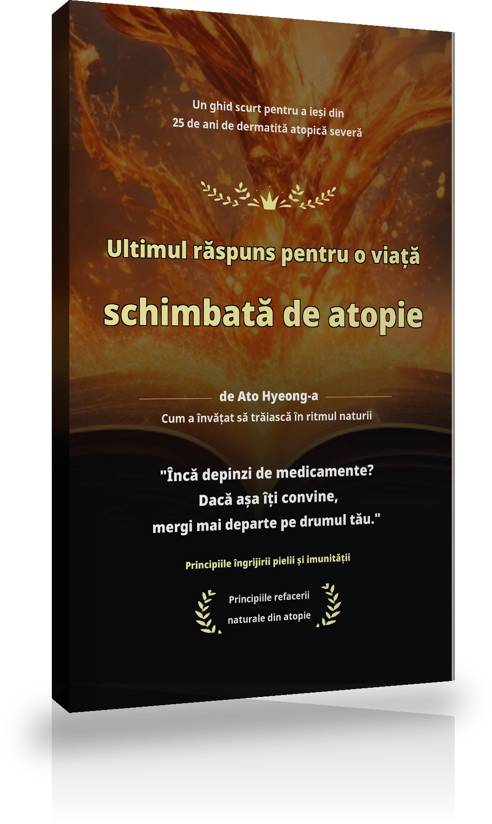 Broșura Sămânța refacerii