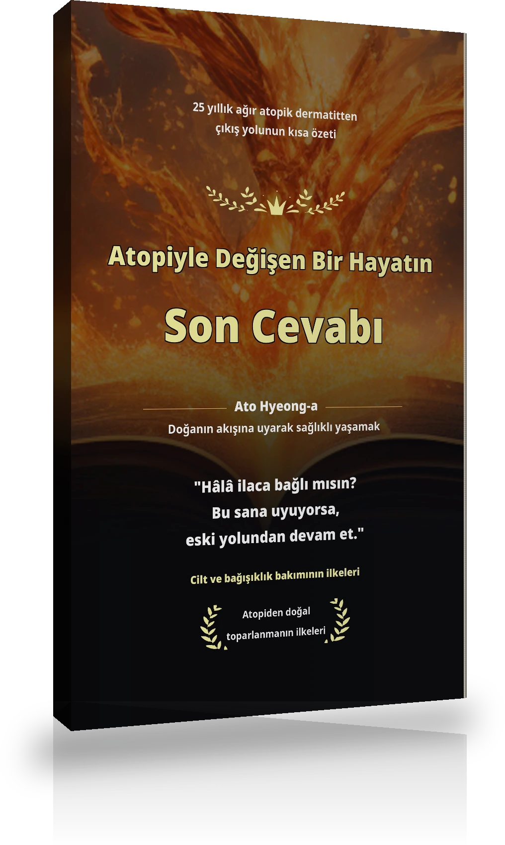 İyileşmenin Tohumu Kitapçığı